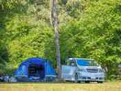 Grass pitches