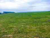 Camping field