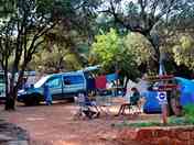 Pitch under the trees