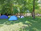 Tent pitches