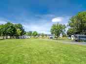 Grass pitches