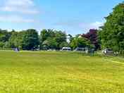 Grassy pitches
