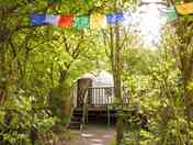The Bentwood yurt (added by manager 03 May 2024)