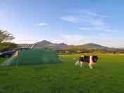 One of the lovely camping pitches