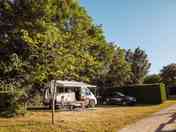 Tree-shaded pitch