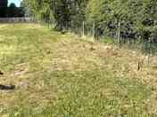 Spacious grass pitches, sheltered and a great sunny spot