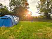Grassy pitches
