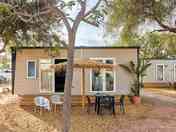 Agave Comfort exterior