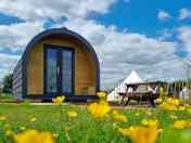 Glamping Pod through buttercups