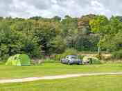 Grass Pitches