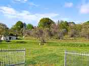 field