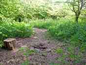 Pitch 5 in the spring - our littlest pitch!