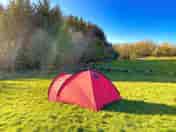 Spacious dog-friendly camping pitch (added by manager 28 Sep 2022)