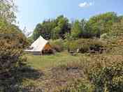 Bell tent
