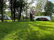 Lovely shady spot for hot summer days
