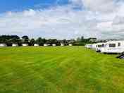 Grass pitches