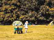 Grass pitches