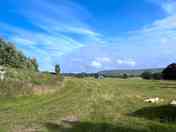 Non-electric grass tent pitches