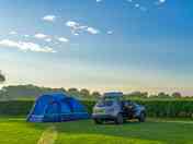 Grass pitch