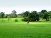 Camping area