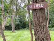 The Field for camping and glamping (added by manager 16 May 2023)