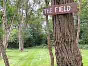 The Field for camping and glamping