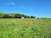 Bramless wild field
