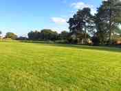 Well-maintained grass