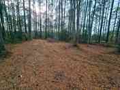 Camping area