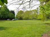 Small field