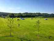 Grass pitches