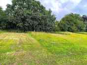 Electric grass pitch