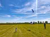Pitches on site