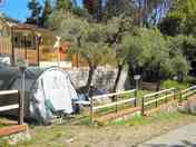 Tent pitches