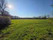 Grass pitches