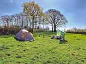 Camping pitch backed by trees
