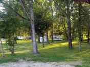 Pitch among the trees