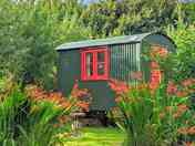 Ismay shepherd's hut