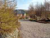 Driveway to Silver Birch treehouse
