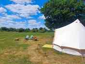 Glamping field