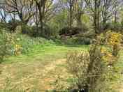 Camper's Glade pitch with picnic table