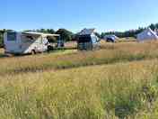 Grass pitches