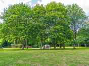 Trees around the pitches