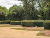 Pitches 16,17