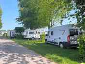 Grass pitches