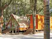 Safari tents set between trees (added by manager 24 Apr 2023)