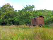 Shepherds hut, in its own little space (added by manager 15 Aug 2023)