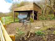 Private woodland garden