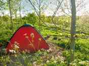 Secluded pitch