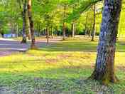 Grass pitches